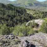 Забележителности в Трекляно